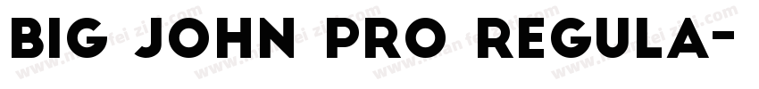 Big John PRO Regula字体转换